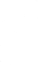 25509_OBJ-Thumbnail Image.jpg