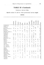 25583_OBJ-Thumbnail Image.jpg