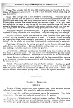25613_OBJ-Thumbnail Image.jpg