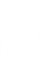 25705_OBJ-Thumbnail Image.jpg