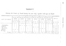 25766_OBJ-Thumbnail Image.jpg