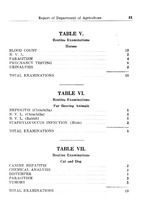 25777_OBJ-Thumbnail Image.jpg