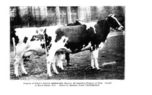 25967_OBJ-Thumbnail Image.jpg
