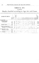 26219_OBJ-Thumbnail Image.jpg