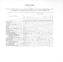 26225_OBJ-Thumbnail Image.jpg