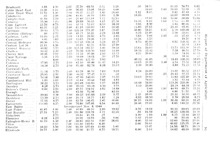 26242_OBJ-Thumbnail Image.jpg