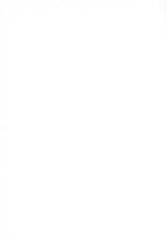 26252_OBJ-Thumbnail Image.jpg