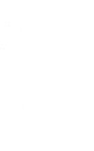 2628_OBJ-Thumbnail Image.jpg