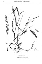 26420_OBJ-Thumbnail Image.jpg