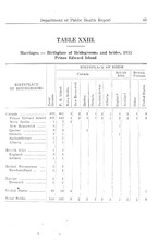 26444_OBJ-Thumbnail Image.jpg