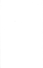 26452_OBJ-Thumbnail Image.jpg