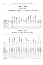 26456_OBJ-Thumbnail Image.jpg
