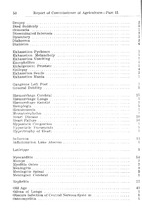 26471_OBJ-Thumbnail Image.jpg