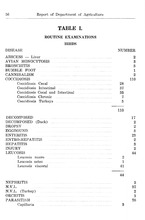 26550_OBJ-Thumbnail Image.jpg