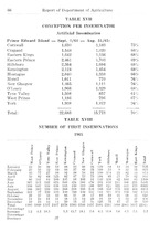 2666_OBJ-Thumbnail Image.jpg