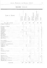 26824_OBJ-Thumbnail Image.jpg