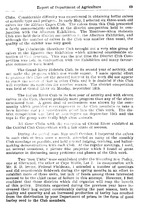 268_OBJ-Thumbnail Image.jpg
