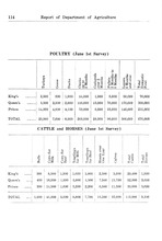 27013_OBJ-Thumbnail Image.jpg