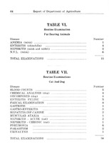 27092_OBJ-Thumbnail Image.jpg