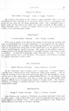 27138_OBJ-Thumbnail Image.jpg