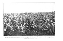 27153_OBJ-Thumbnail Image.jpg