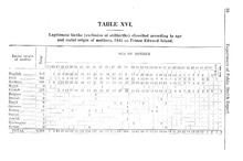 27154_OBJ-Thumbnail Image.jpg