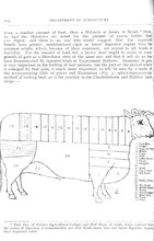 27217_OBJ-Thumbnail Image.jpg