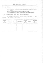 27253_OBJ-Thumbnail Image.jpg