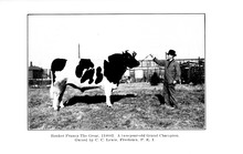 27374_OBJ-Thumbnail Image.jpg