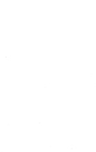 27375_OBJ-Thumbnail Image.jpg