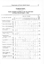27906_OBJ-Thumbnail Image.jpg