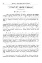 27936_OBJ-Thumbnail Image.jpg
