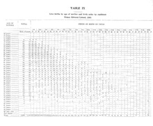 28013_OBJ-Thumbnail Image.jpg