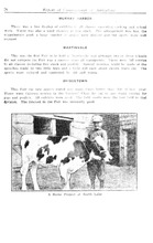 28189_OBJ-Thumbnail Image.jpg
