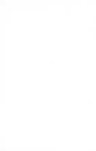 28251_OBJ-Thumbnail Image.jpg