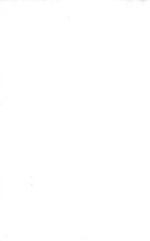 28259_OBJ-Thumbnail Image.jpg