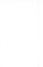 28260_OBJ-Thumbnail Image.jpg