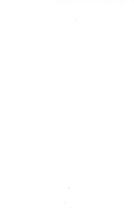2830_OBJ-Thumbnail Image.jpg