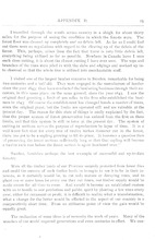 28358_OBJ-Thumbnail Image.jpg