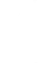 28404_OBJ-Thumbnail Image.jpg