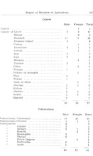 28425_OBJ-Thumbnail Image.jpg