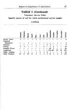 28483_OBJ-Thumbnail Image.jpg