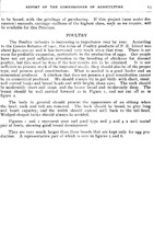 28672_OBJ-Thumbnail Image.jpg