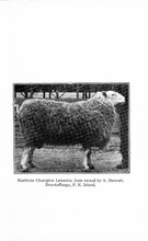 286_OBJ-Thumbnail Image.jpg