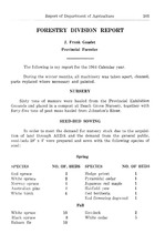 28737_OBJ-Thumbnail Image.jpg