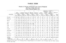28784_OBJ-Thumbnail Image.jpg