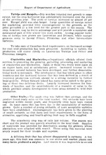 2882_OBJ-Thumbnail Image.jpg