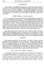 28892_OBJ-Thumbnail Image.jpg