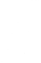 28916_OBJ-Thumbnail Image.jpg
