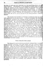 28965_OBJ-Thumbnail Image.jpg